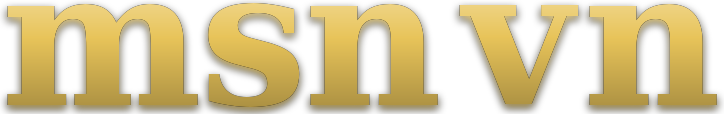 msn vn logo